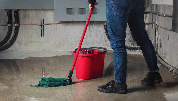 Best Water damage repair service  in Topton, PA