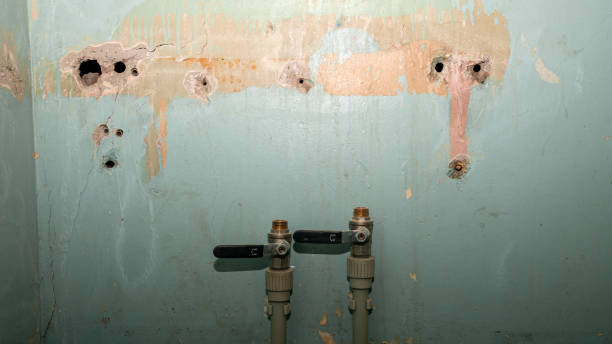 Best Emergency water extraction  in Topton, PA